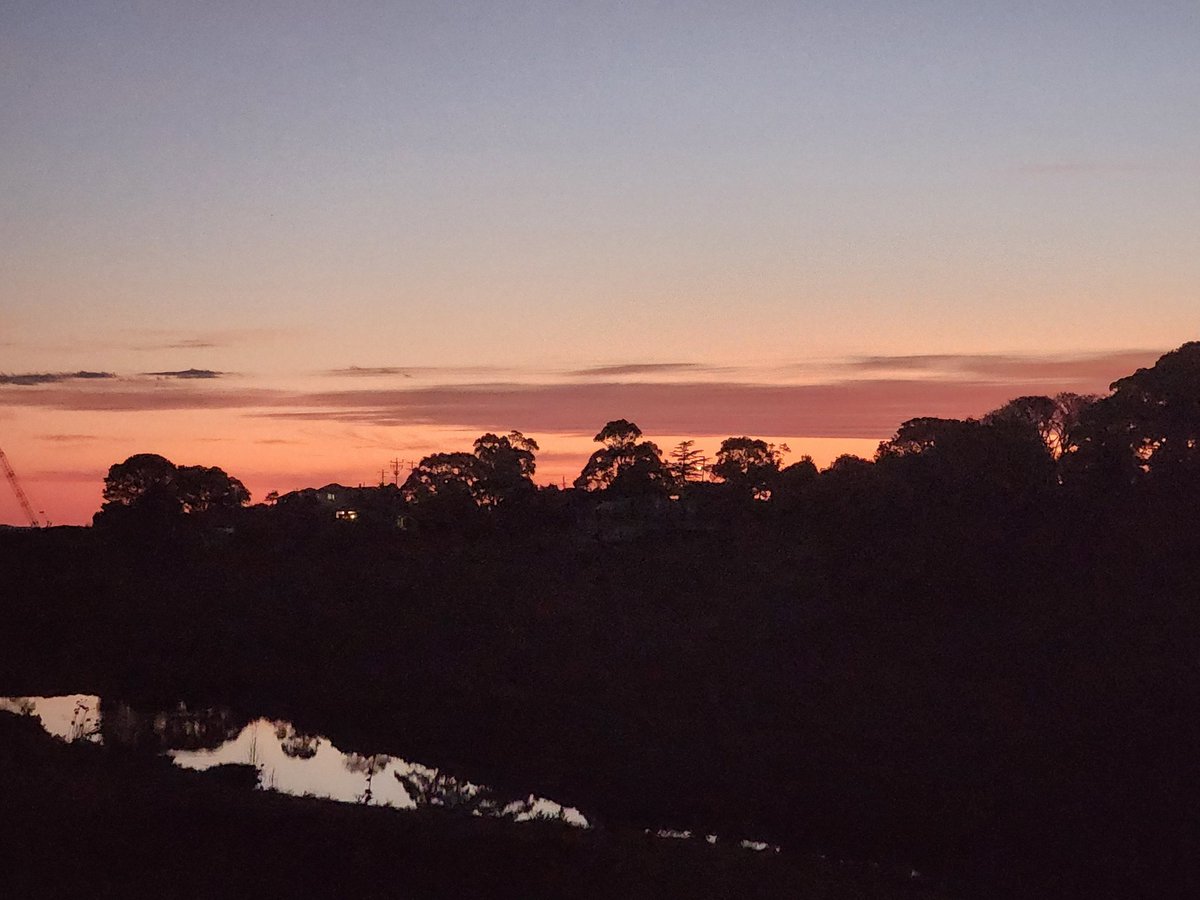 MarkinAuz's tweet photo. Summer evening https://t.co/p4OcQvzB3w