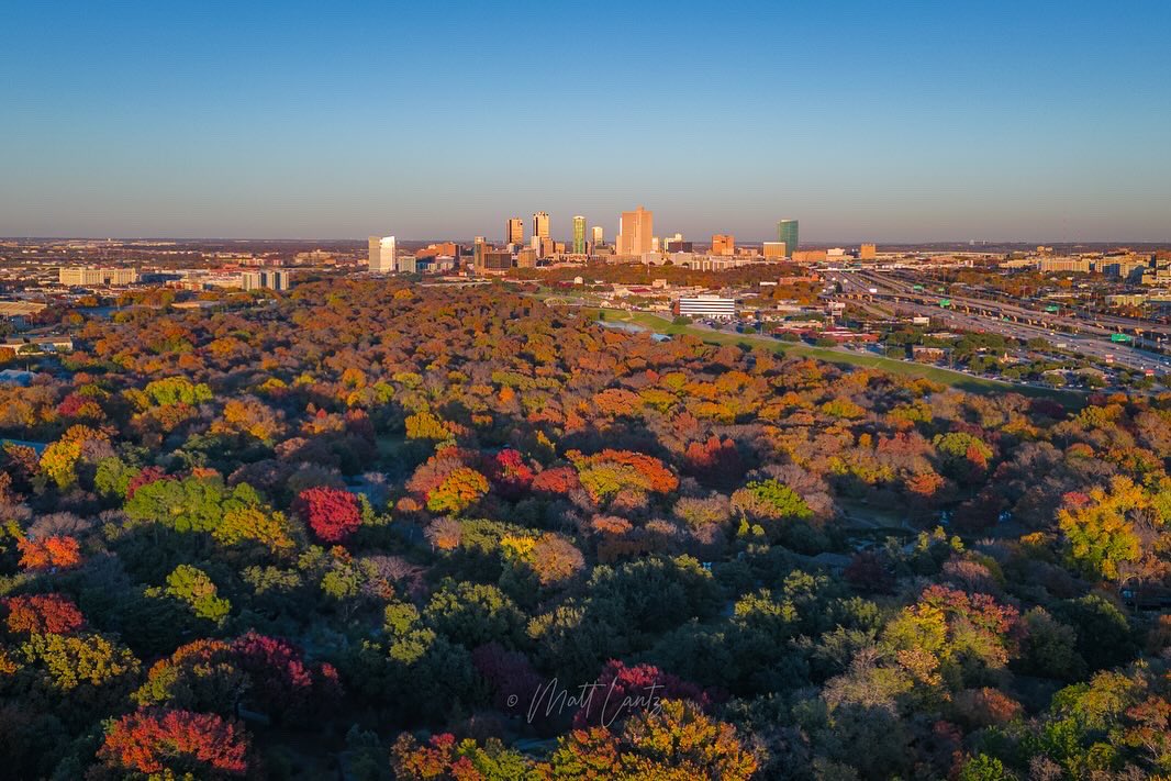 Fort Worth Fall Color 🍁

#FortWorth #Texas #fallcolor #dfwwx #txwx