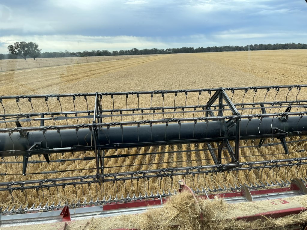 Annie Brown tweet media