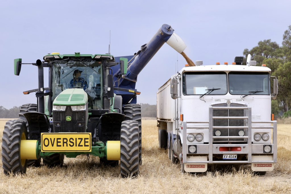 Annie Brown tweet media