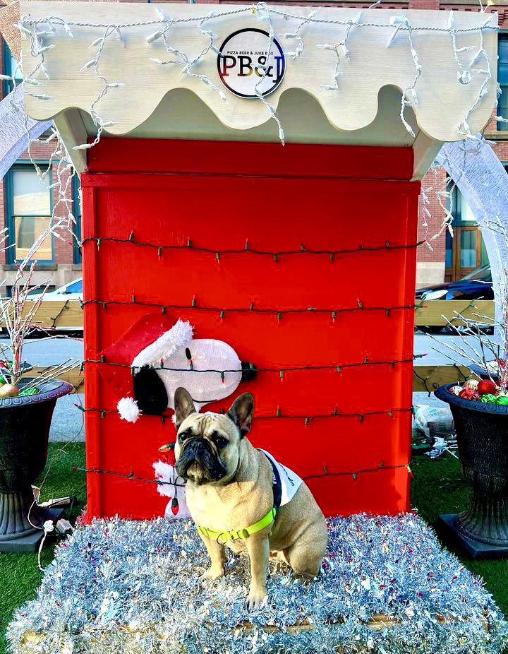 Celebrate Doggie Date Night on Wed 6-8 PM in our winter wonderland! We have great Christmas photo opps for the pups including a Dog House.Enjoy half off Tito mules, half off drafts, and half off Prosecco. Plus, Dogs eat free* on Doggie Date Night! 📷: <a href="/frankie/">Frankie Colamarino</a>.the.frenchie.13