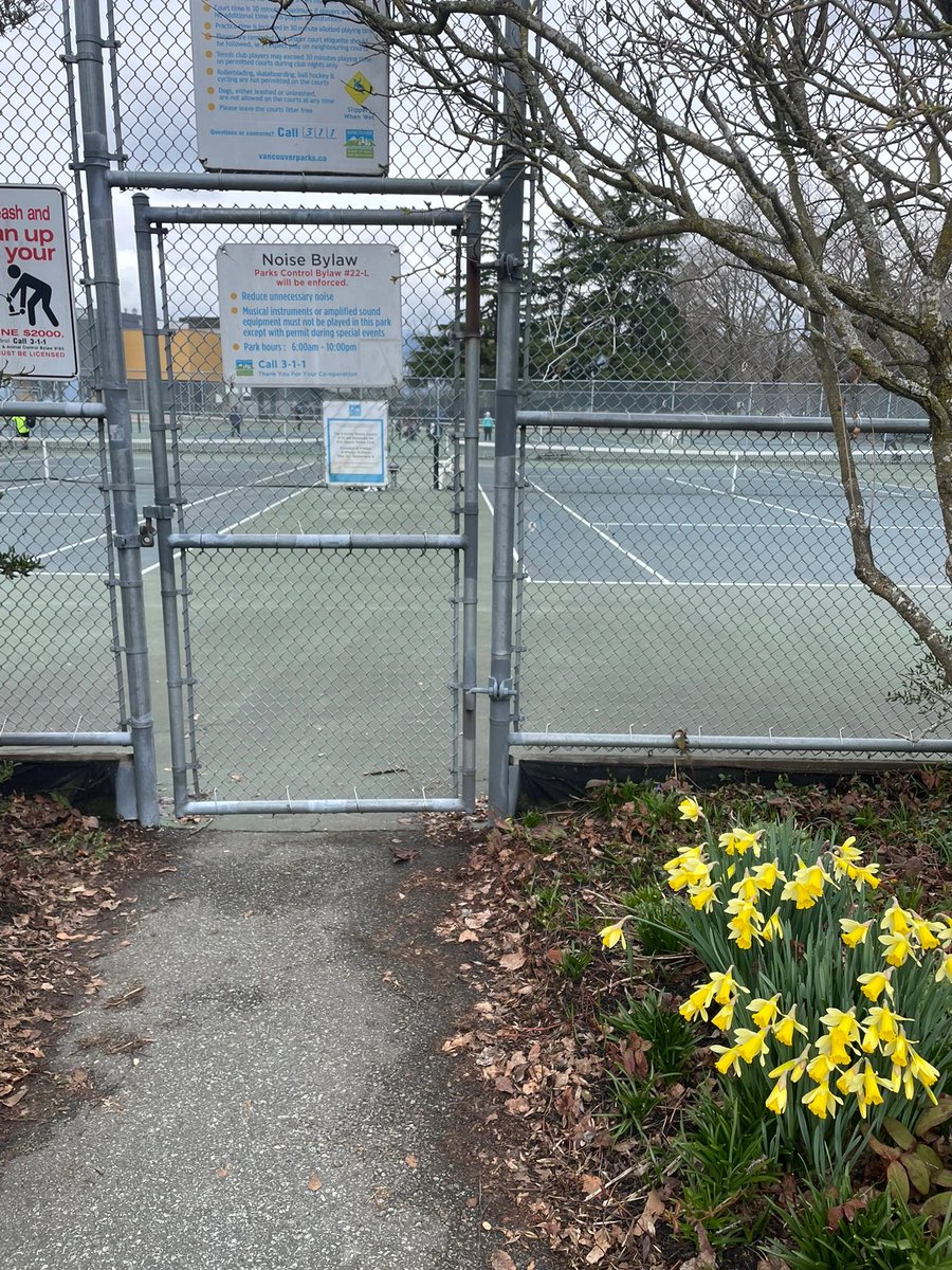 This weather is the most suitable for playing tennis. 🎾🏓