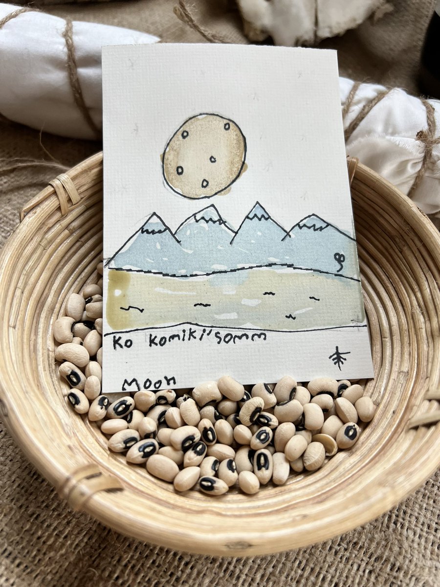 HinderYYC's tweet photo. Grade 3/4 students are committed to bringing Indigenous languages into their learning circles with the inspiration of Treaty Words @AnnickPress
Students used harvested homemade ink to bring their illustrations to life.
#cbeliteracy @Indigenous_cbe #learningthroughthearts https://t.co/S4GKB6IRZn