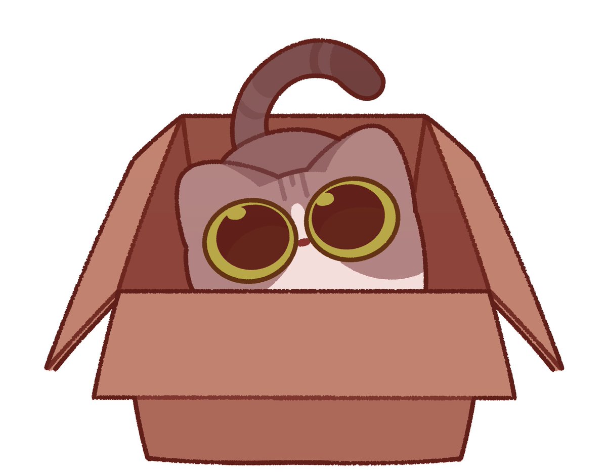 Avo0930's tweet image. Jellie in a box