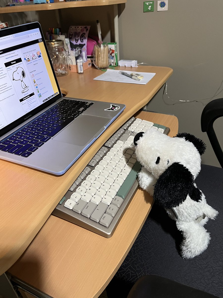 snooopyiscool's tweet photo. i am studying really hard right now ! i am sick of it! https://t.co/wBH83iKXDE