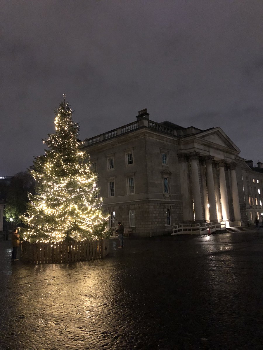 Seasonal feeling on @tcddublin campus. Counting down to @ICSEIglobal congress starting in less than 5 weeks. Registration still open. Register at 2024.ICSEI.net @SchoolofEdTCD @MarinoInstitute Will I see you in Dublin in January?