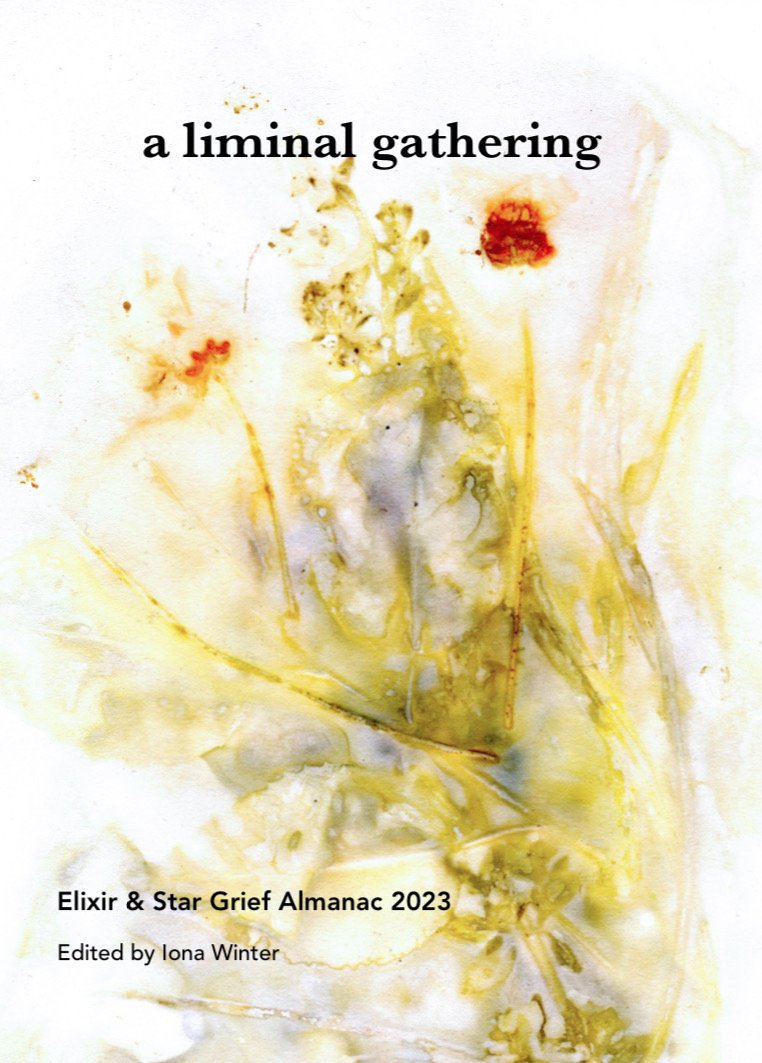 Pssst...📚 Iona from #elixirandstarpress aims to get copies of #aliminalgathering into all Aotearoa libraries & bookshops so anyone can access a copy #griefbooks...pse ask your locals to stock TYVM #nzlibraries #readnz ⭐ 💗 your RTs 😎