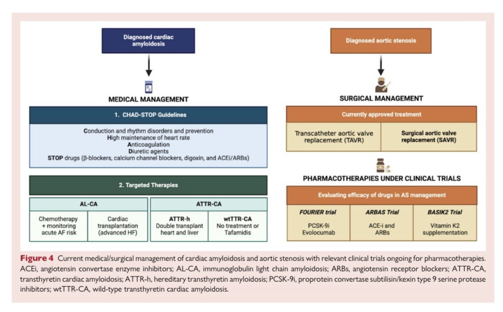 Edgardo Alania (@ed_alania) on Twitter photo 🔴 Cardiac amyloidosis and aortic stenosis: a state-of-the-art review <a href="/ESC_Journals/">European Society of Cardiology Journals</a> #CardioEd #Cardiology #Amyloidosis #CardioTwitter 🔴 Cardiac amyloidosis and aortic stenosis: a state-of-the-art review <a href="/ESC_Journals/">European Society of Cardiology Journals</a> #CardioEd #Cardiology #Amyloidosis #CardioTwitter