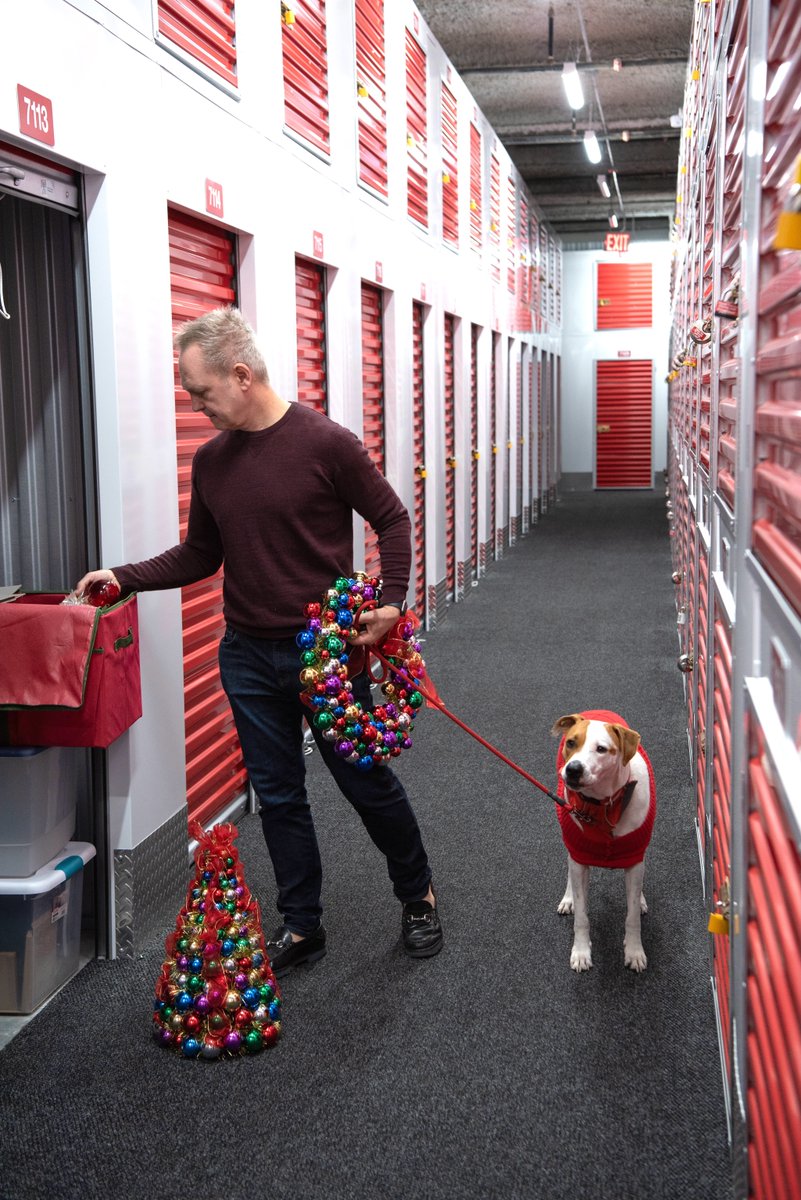 Holiday prep in full swing!
Vlad helping (as always).

#ChristmasPuppy #RescueDogs
