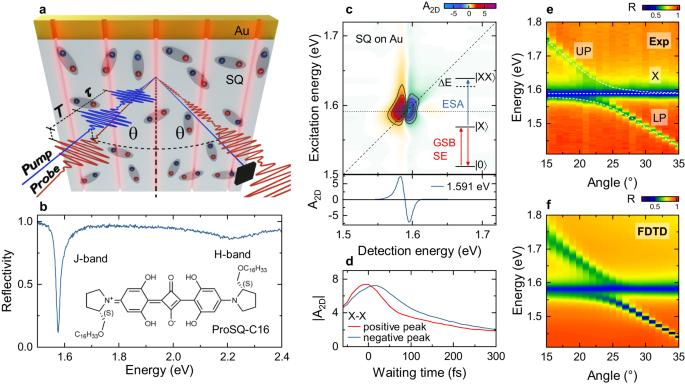 Interested in Rabi couplings and strong exciton-plasmon coupling.
Check out the latest results in Nature Comm.
lnkd.in/eq99aPcA
Exciting and surprising results by Daniel Timmer, Moritz Gittinger and colleagues. Congratulations to the entire team!
rdcu.be/dsSVg