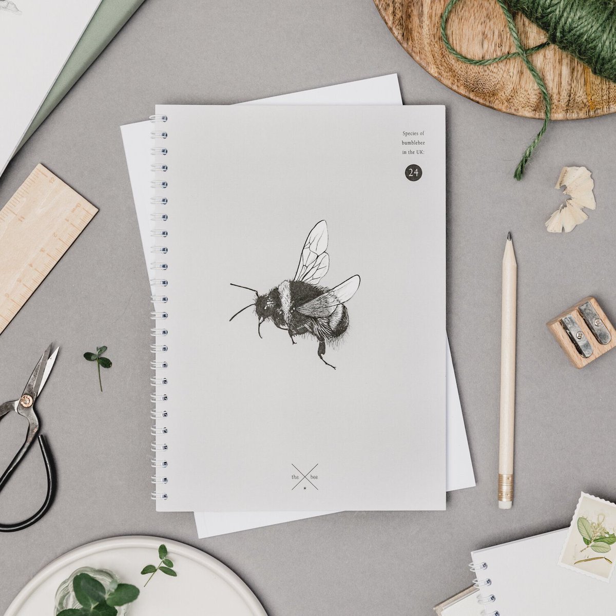 Our notebooks are now only £5 and make perfect stocking fillers. Plus 10% is donated to the wildlife charities we support. creaturecandy.co.uk/notebooks-line… #wildlifenotebook #batnotebook #beenotebook #hedgehognotebook #curlewnotebook