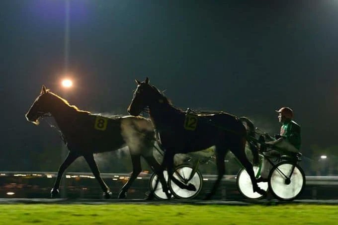 Turfjeusimple's tweet photo. https://t.co/pbViX1bJO2
Vendredi 8 décembre 2023 - #Quinté à Vincennes /Autres courses
Toutes les infos #pmu gratuites de notre équipe pour cette journée : bases, pronostics, jeux simples,... https://t.co/xOKbzOdih9