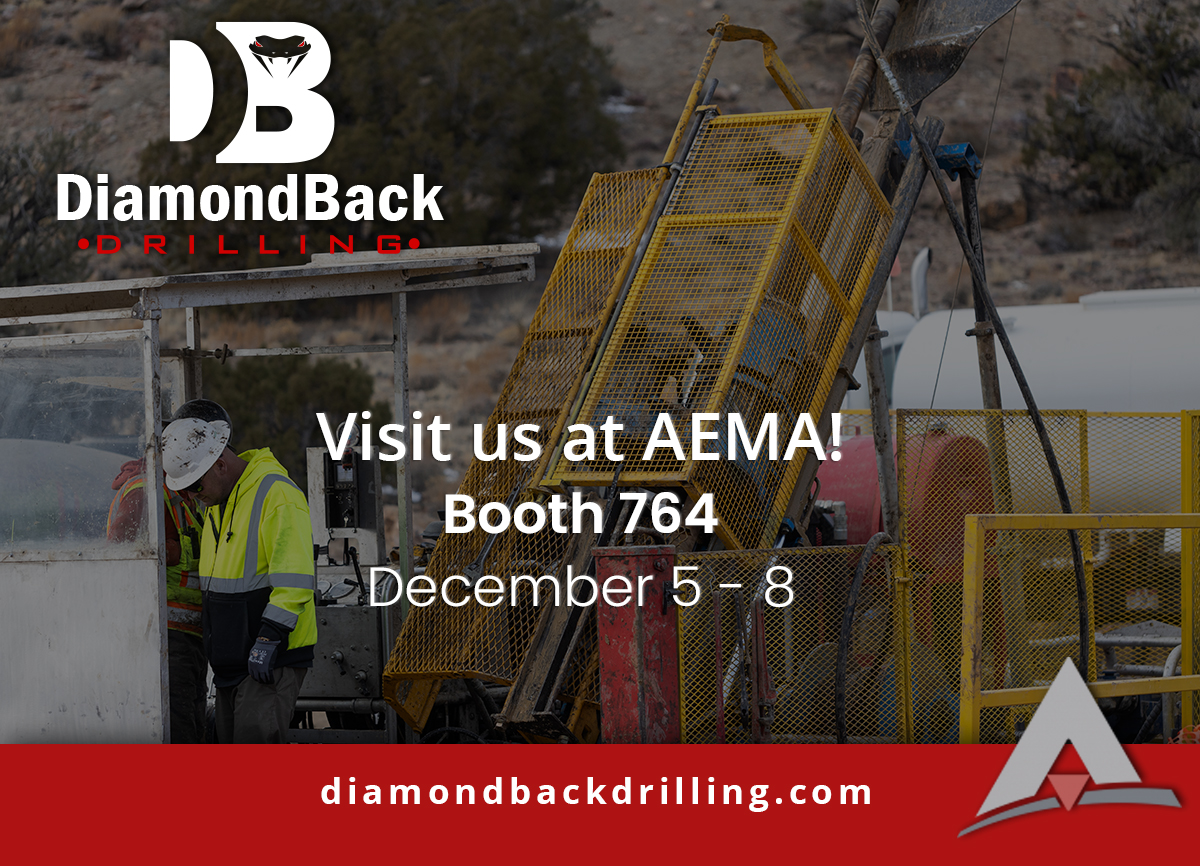 DiamondBackDrl's tweet image. Come visit us at #AEMA2023 Booth 764
December 5-8