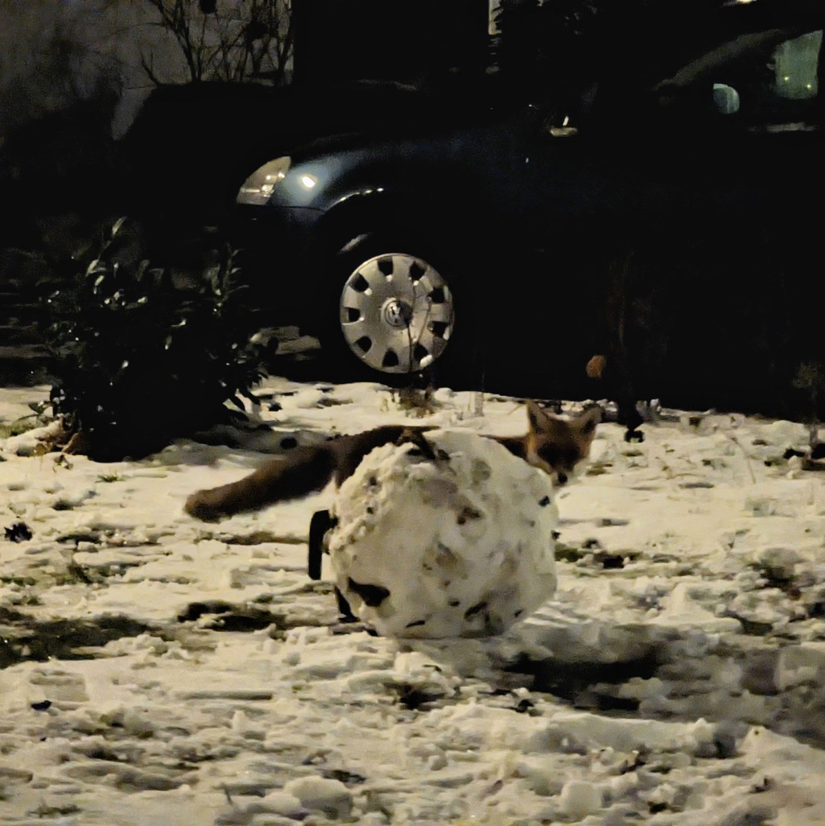 Thomas Lobinger tweet media