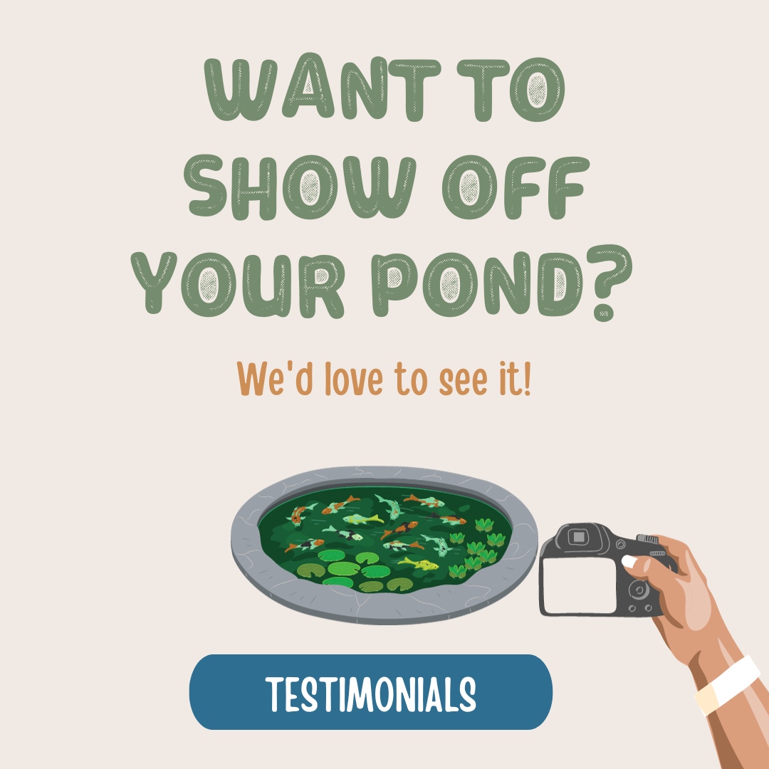 NualgiPonds's tweet photo. How are your fish dealing with the winter? Share your pics and stories to be featured in our next newsletter! 
https://t.co/uIlk6Pzf4g https://t.co/Xx0TNpg8jf