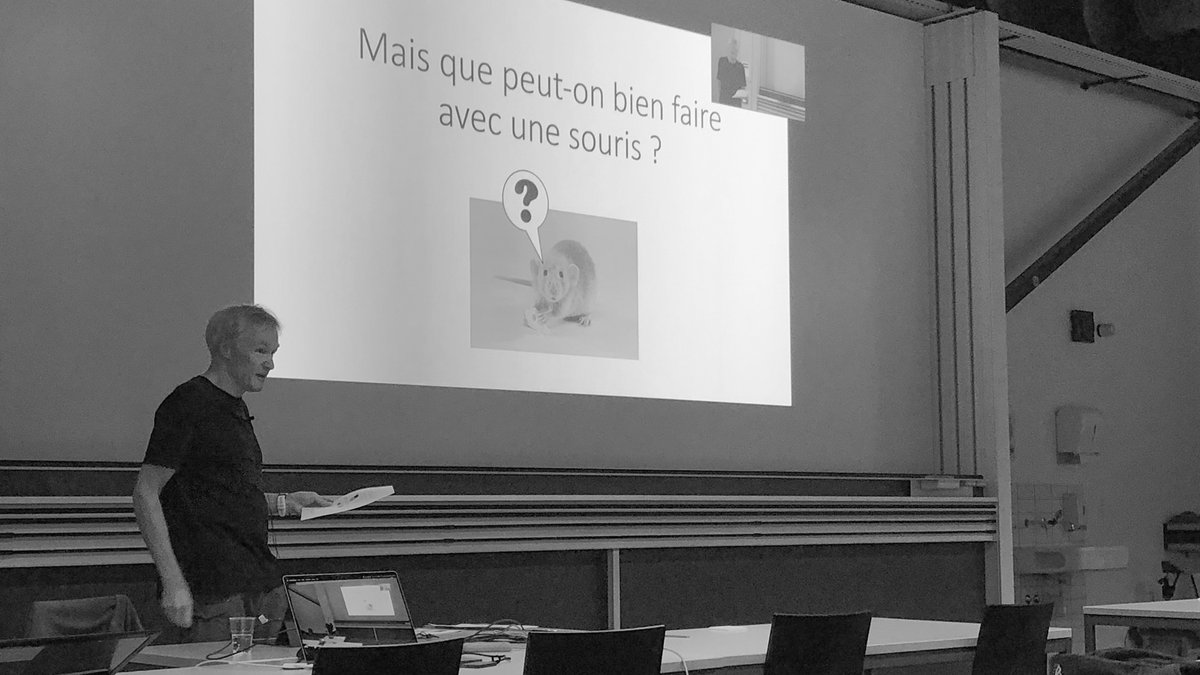museebolo's tweet photo. Le @museebolo vous offre un nouveau moment d’histoire vivante, animée et illustrée, en compagnie d'un pionnier du pixel art, du jeu vidéo, et bien plus encore!

Daniel Roux - Une aventure vaudoise de l’interface graphique

En 1 clic 👉 https://t.co/x7fLv8rY10

#Blupi #swissmuseum https://t.co/NAH90768P6