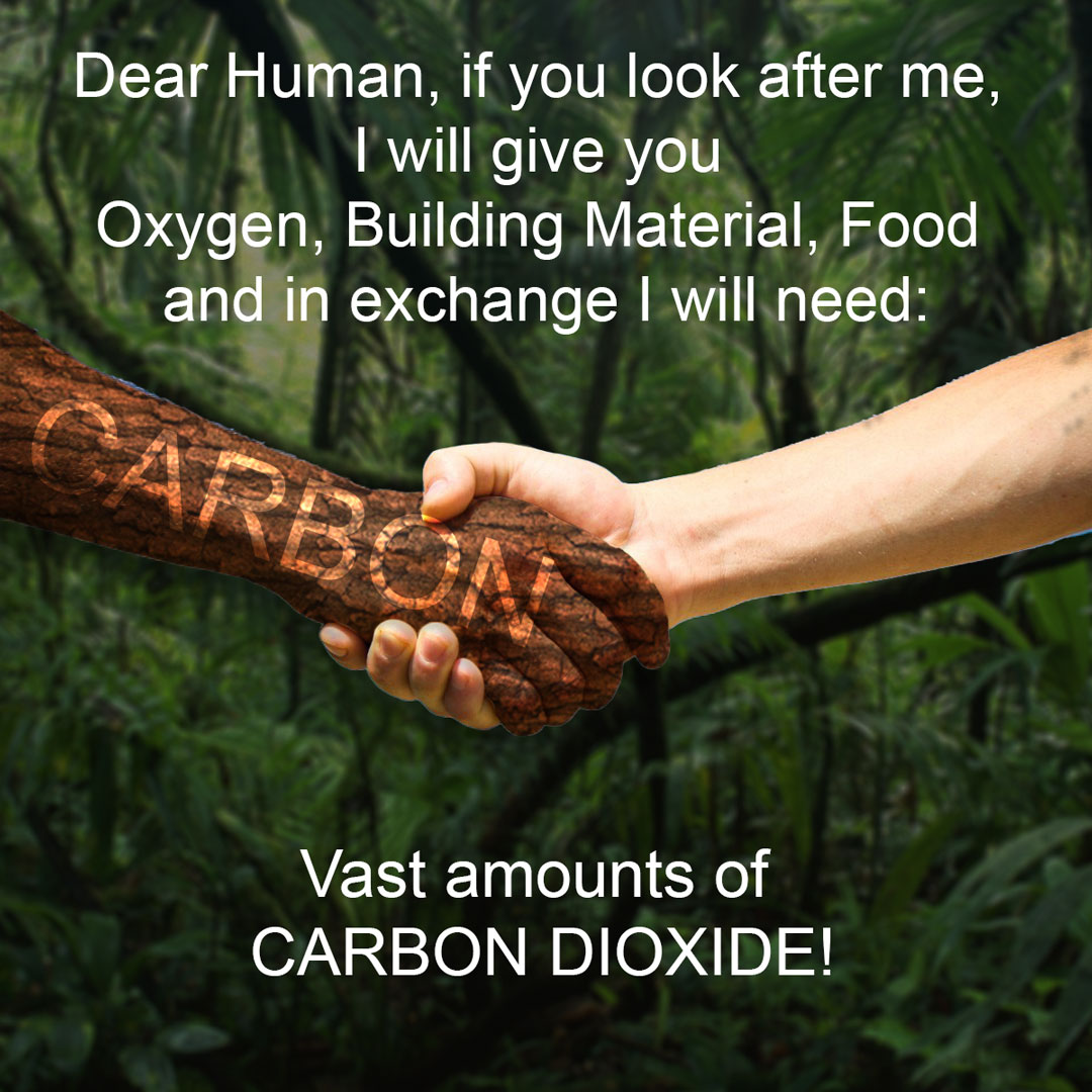 MarkSharon_DP's tweet image. #NetZero is a quasi-religious scam to persuade a gullible superstitious public that a substance essential to all life on Earth is poisonous. It is about control. Control CO2 and you control society.