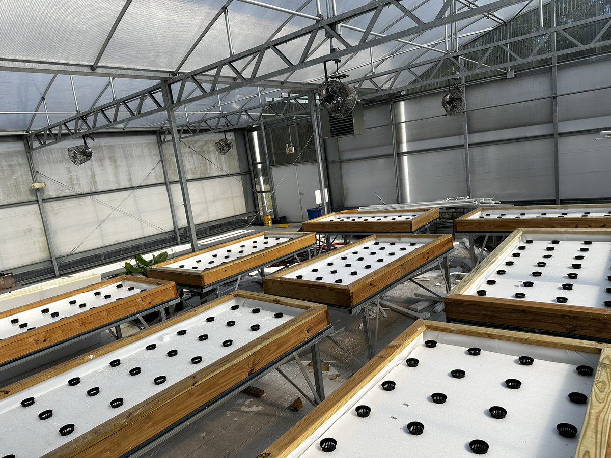 Christopher Roy tweet media