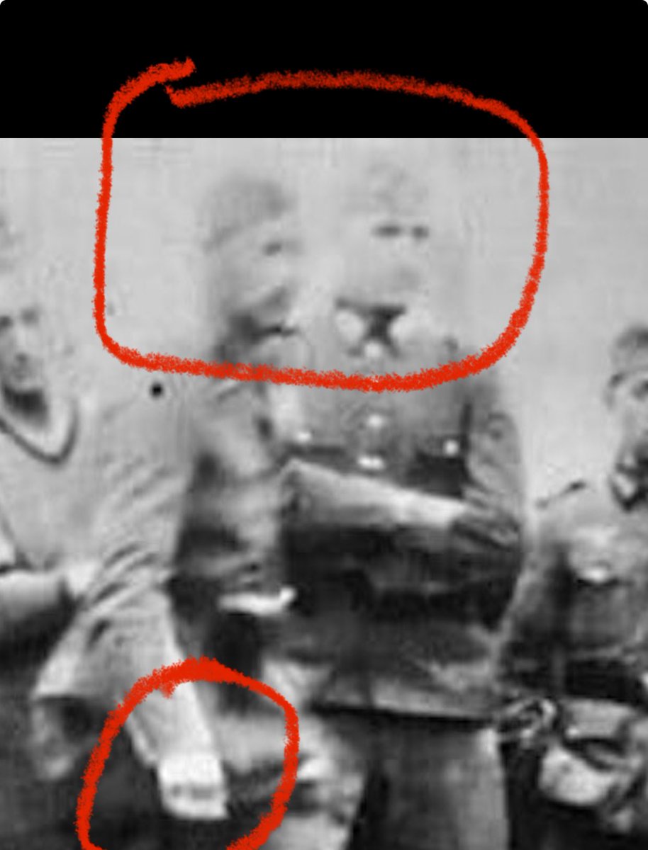 Aussie Oracle tweet media