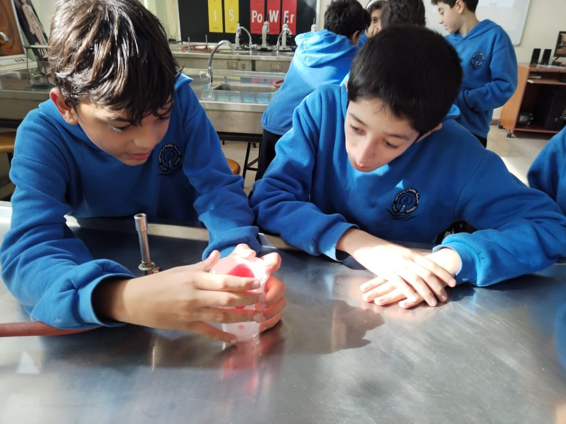 manalshaar2's tweet image. My sixth graders exploring the intricate world of kidneys through hands on STEAM simulation. @MakAishaSchool  @NElakhdar