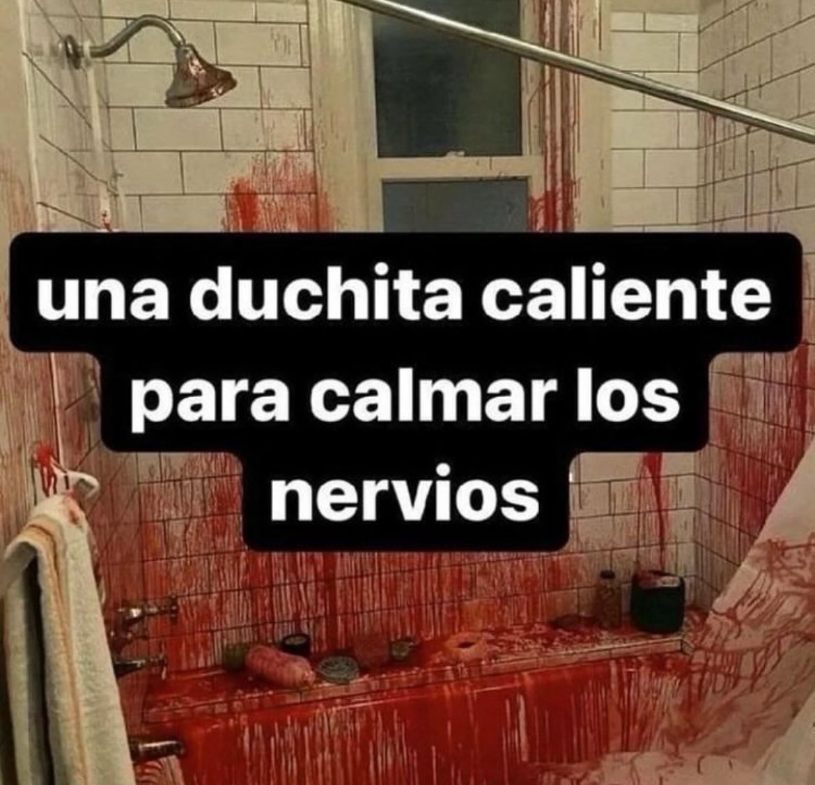 urpussyclean's tweet photo. a 360 grados https://t.co/UPiWvsrXZl