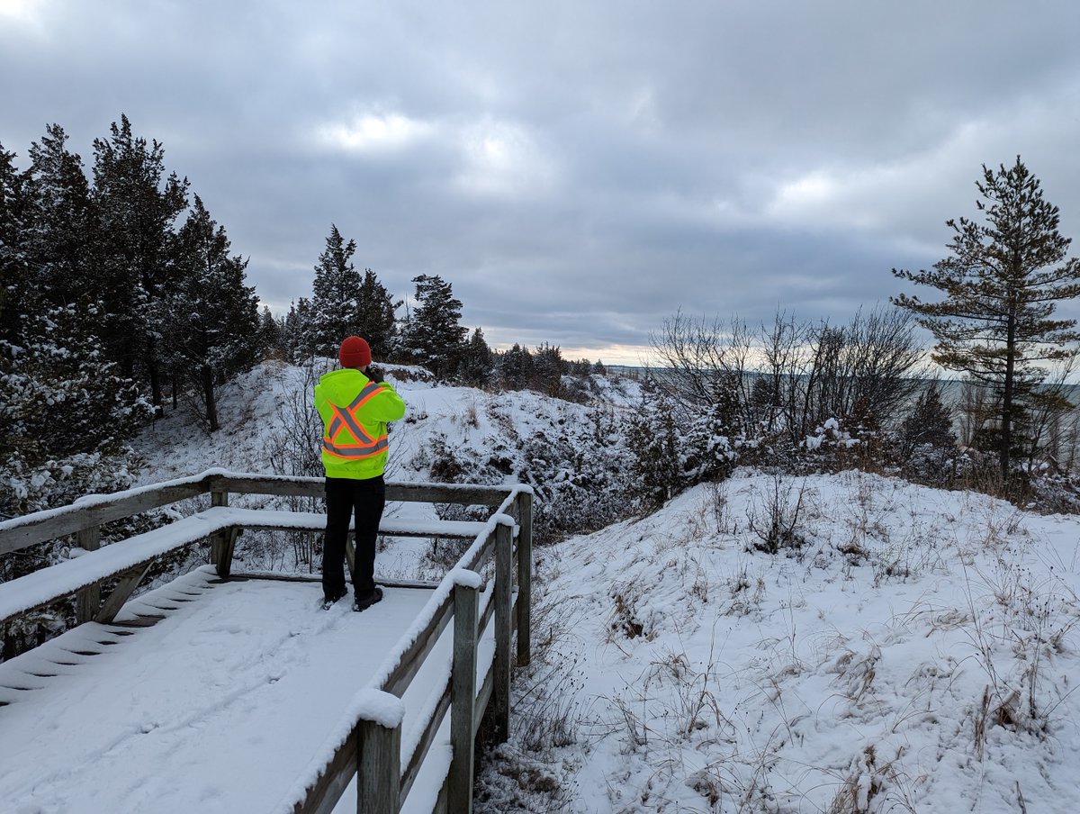 Break out the mittens, winter is almost here! We have all been preparing for the new season, and so have the amazing creatures around us!

This Sunday at 11AM, come to the Cedar Trail for a brand new hike to discover more about how the park has changed for the winter.