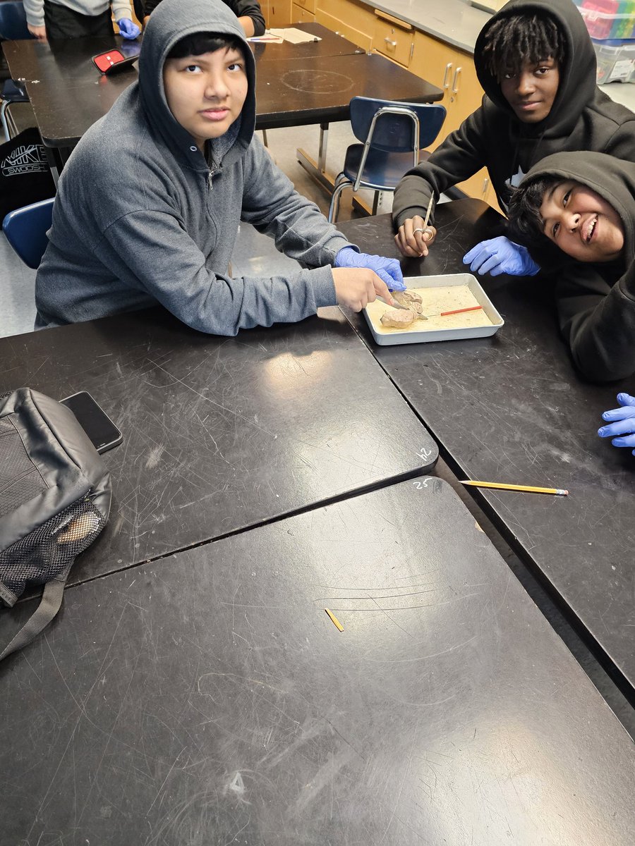 Students today did a brain dissection in <a href="/PLTWorg/">Project Lead The Way</a> Medial Detectives class. They were learning about the different parts of the brain and how they work. <a href="/lawofthefarm/">Andrew Walters, Ed.D</a> <a href="/OPS_McMillan/">OPS McMillan Middle</a> <a href="/OmahaPubSchool/">Omaha Public Schools</a>  #handsonlearning #involved #pltw