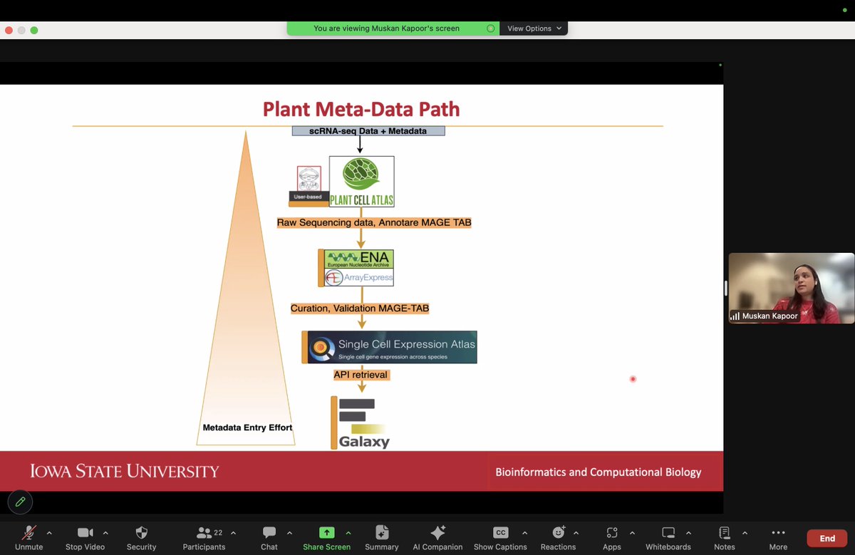 AgBioData (@agbiodata) on Twitter photo Today <a href="/cktuggle/">Christopher Tuggle</a> @colepbio and Muskan Kapoor gave wonderful presentation about single-cell RNA data biocuration in plants and livestock. You can rewatch the webinar on our YouTube channel youtu.be/PkZbUDNzX6Y Today <a href="/cktuggle/">Christopher Tuggle</a> @colepbio and Muskan Kapoor gave wonderful presentation about single-cell RNA data biocuration in plants and livestock. You can rewatch the webinar on our YouTube channel youtu.be/PkZbUDNzX6Y