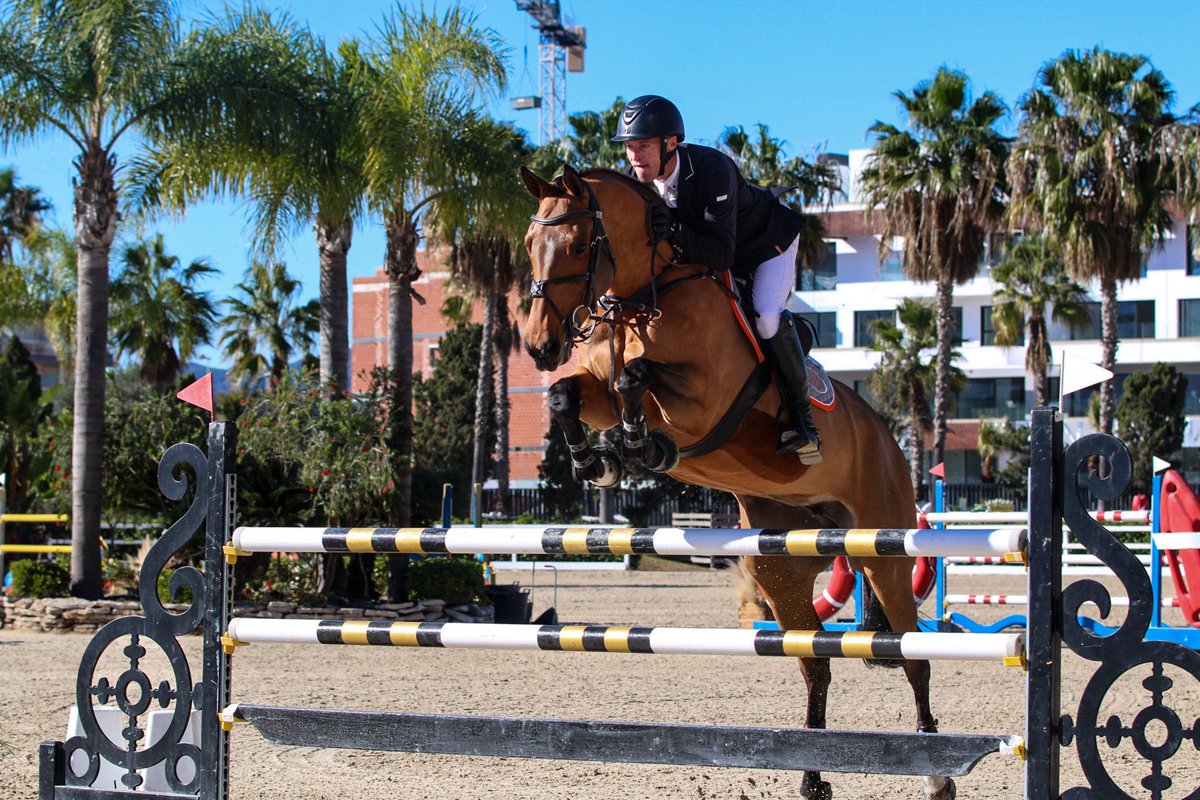 Horses feeling in good form after the first week of our Oliva Nova Tour. All set for week 2 🌴☀️🇪🇸 #olivanova #2023 #hurstfarm #showjumping #horses #equestrian