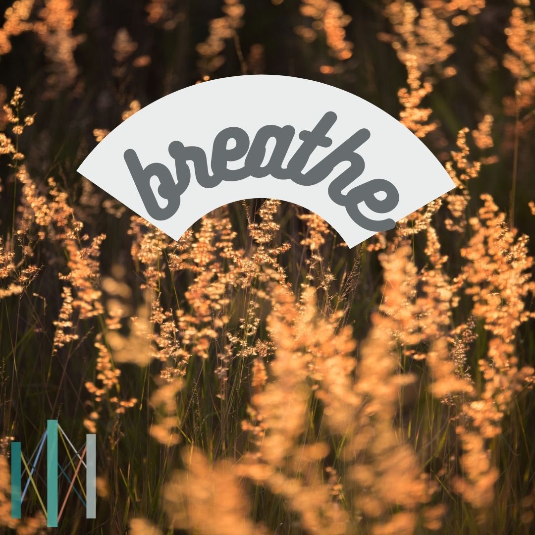 MindfulCenterSF's tweet image. 💆‍♂️ Feeling overwhelmed midweek? Join me for a mindful break. Take a deep breath, clear your mind, and find tranquility. #MidweekCalm #SelfCare