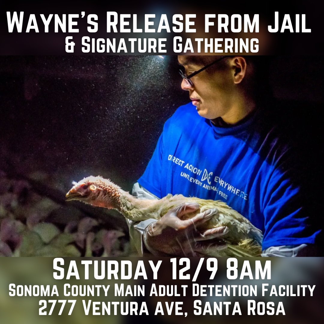 SonomaTrial's tweet image. Mark your calendars! Wayne will be released from jail this Saturday. We will see you there!