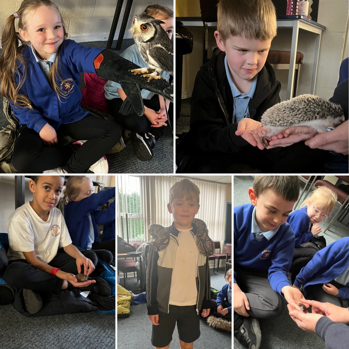 smceps's tweet image. Year 2 had a fantastic visit from @AnimalsTakeOver. They enjoyed meeting and learning all about a range of African animals and their habitats!