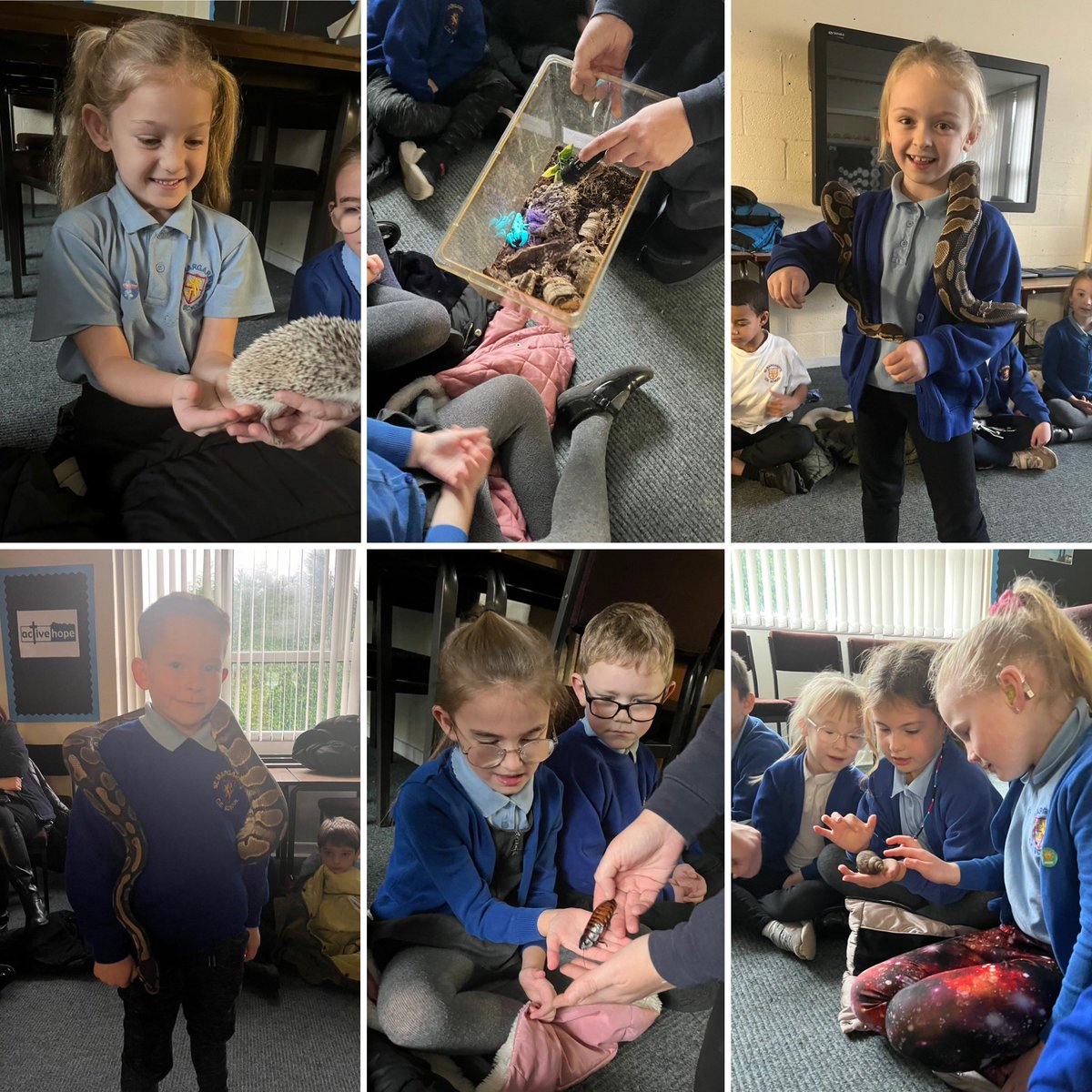 Year 2 had a fantastic visit from @AnimalsTakeOver. They enjoyed meeting and learning all about a range of African animals and their habitats!