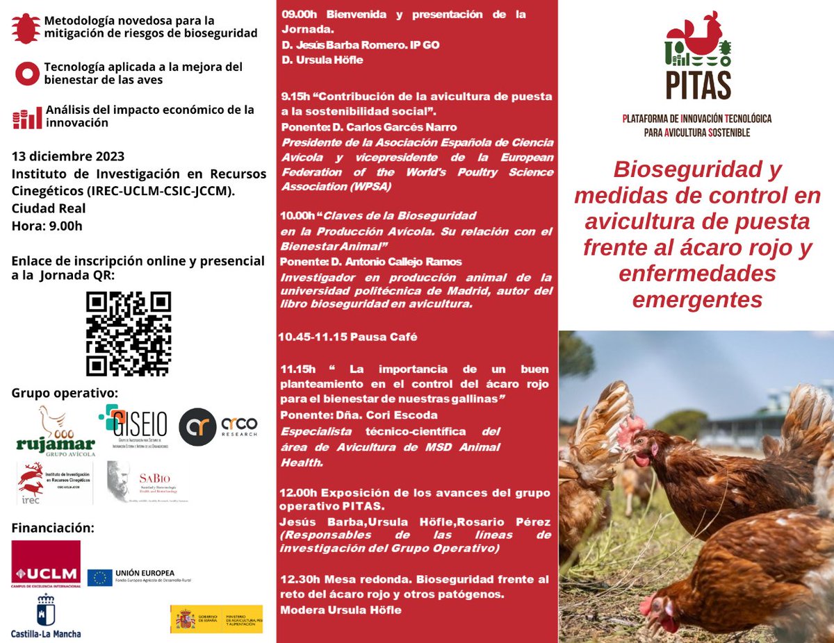 El GO PITAS, formado por @gruporujamar y la @uclm_es, organiza 1 nueva jornada GRATUITA de innovación en #avicultura el 13 de DIC, dedicada a la #bioseguridad 🐓🥚☣️ Podrá seguirse presencial u online previa inscripción 👉 👉 cutt.ly/pwO0Fyul ￼