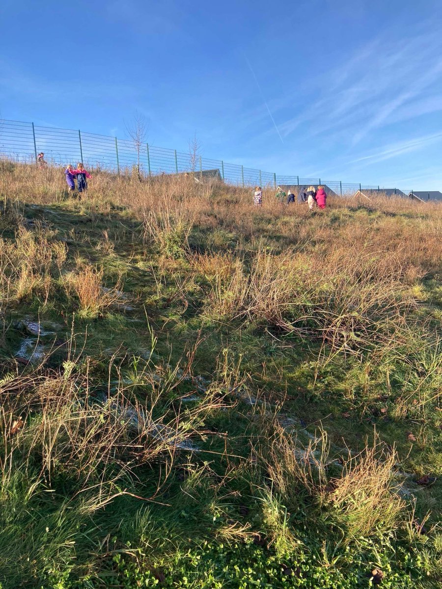 RosecliffeSpen1's tweet photo. ☀️❄️A beautiful afternoon in the sun, making Christmas trees and wreaths using natural materials ❄️☀️ #forestschools https://t.co/Ip9t4ezSwD