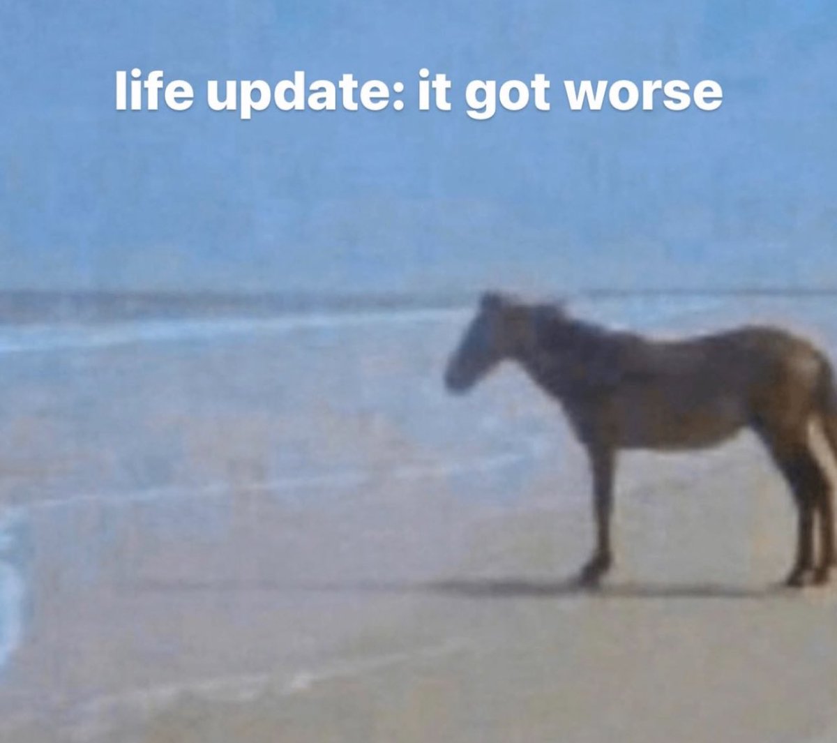 Out of Context Human Race (@nocontexthumans) on Twitter photo 