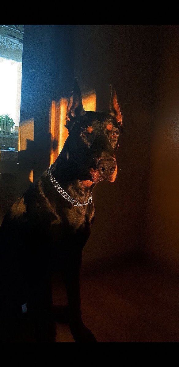 Blest ♰ Boys (@blestboys) on Twitter photo 