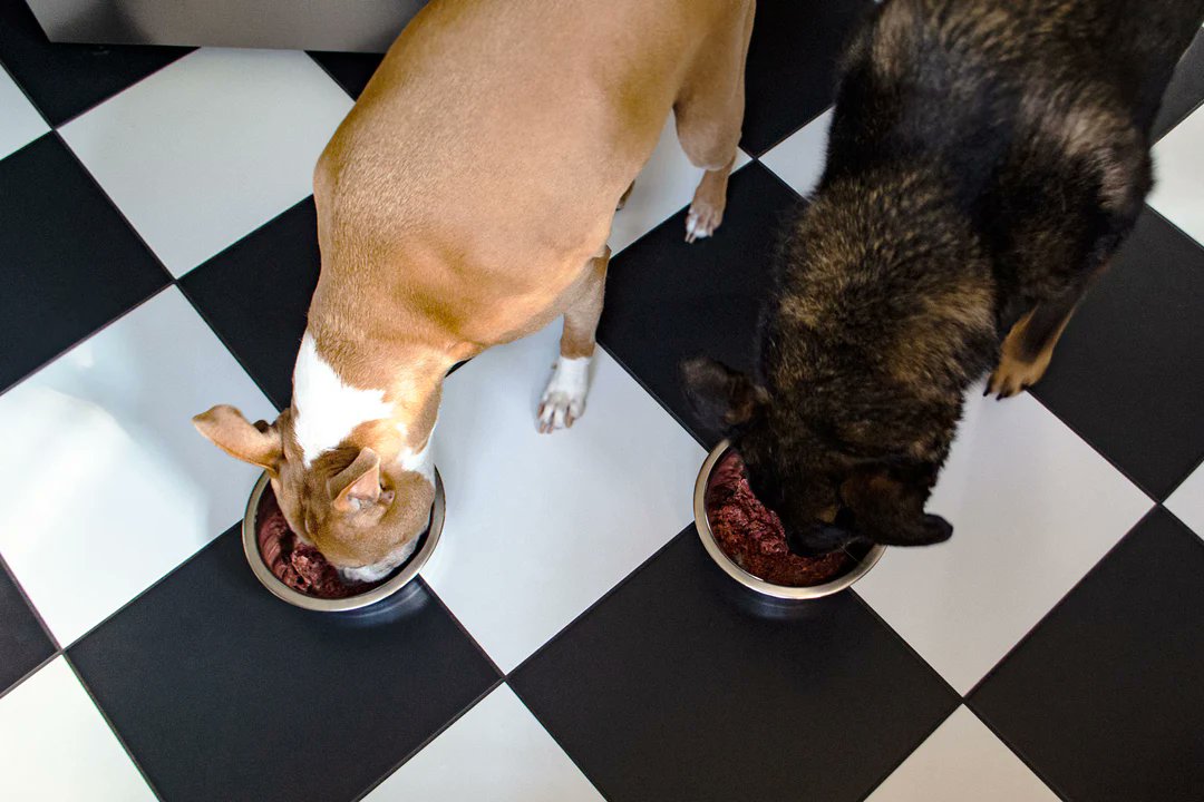 Does your furry friend need a Christmas gift?! Grab some of our fresh dog food and they are sure to have a happy Christmas 😋🎄

agridimestore.com/products/beef-…