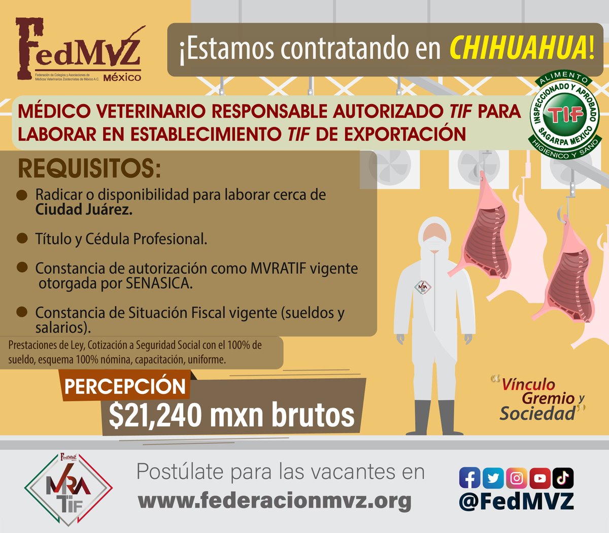 ¡Tenemos vacantes!📣 #MVRATIF para laborar en Establecimiento #TIF de Exportación en CHIHUAHUA.

Sí estás interesado/a en la vacante y cumples con el perfil, puedes postularte en: federacionmvz.org/mvratif-export…