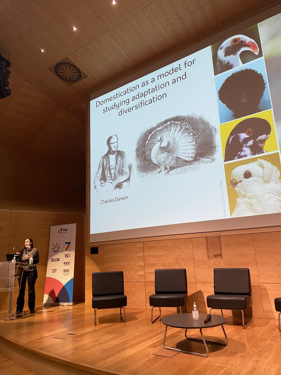 Gianni Liti tweet media