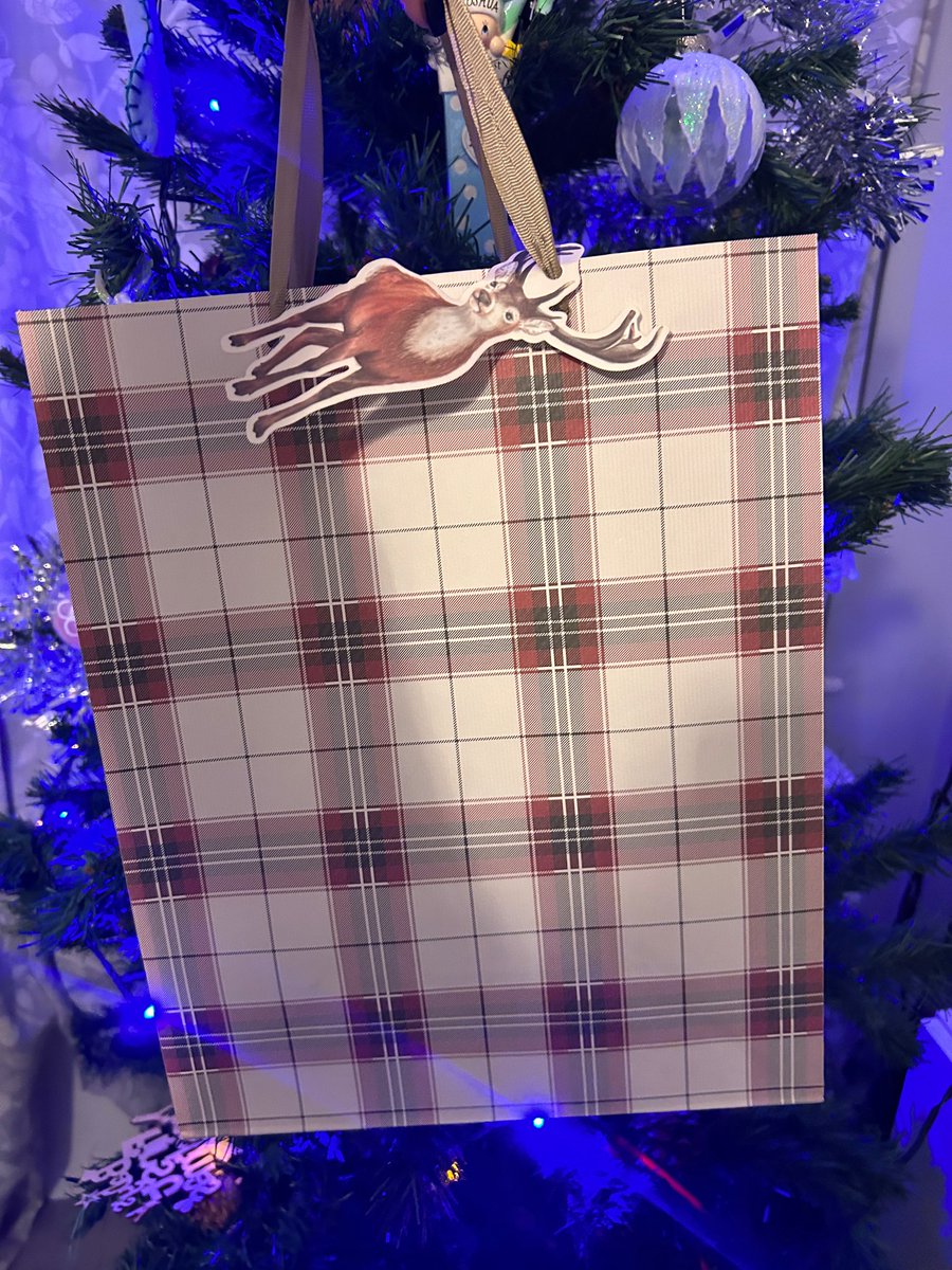 charlieBNHS's tweet photo. Team urology this is your reminder .. It’s Xmas jumper day tomorrow ( raising funds for the Chestnut appeal) and you could win this Bobby dazzler prize…. #urology #Chestnutunit #Chestnutappeal https://t.co/AZxLXu6geT
