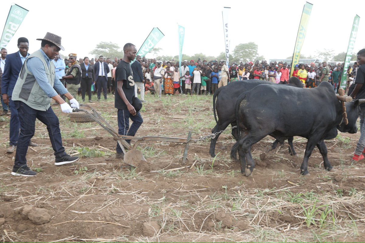 HHichilema's tweet photo. Launched 2023-2024 National planting season in Nyimba District. With our goal to position #agric as #Zambia's #1 sector & become #Africa’s bread basket, we’re pushing for:
💦 Irrigation agric
🔴 Farmers’ access to
affordable finance
🌾 Increased yield/acre
#BaLimi 🇿🇲 https://t.co/BQozKJZQAe