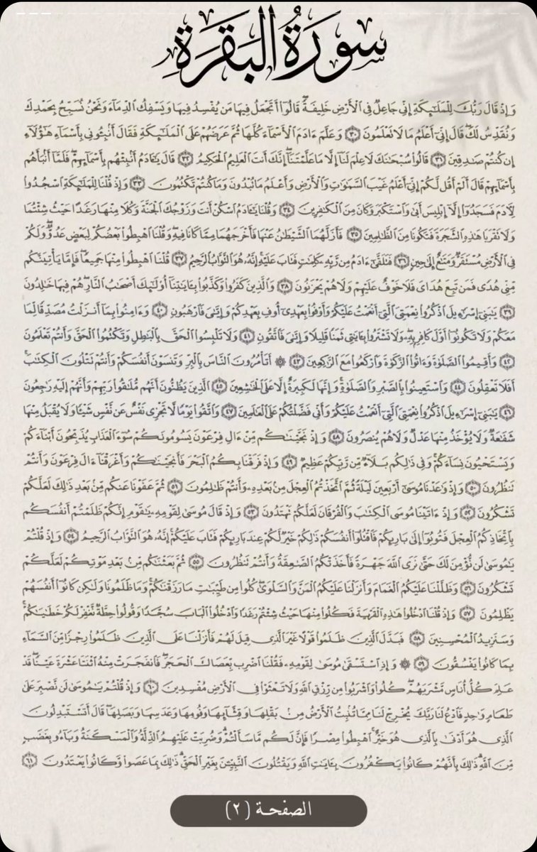 𝐓𝐚𝐦 ♌︎ tweet media