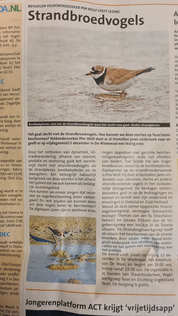 Ben je vrijdagavond 15 december op #Texel ? Kom naar de speciale lezingenavond over strandbroedvogels in dorpshuis De Wielewaal in De Waal.  Gastspreker is <a href="/PimWolf/">Pim Wolf</a> van <a href="/deltamilieupro/">Deltamilieu Projecten</a>
Vandaag aandacht in de <a href="/texelsecourant/">Texelse Courant</a> 
vwgtexel.nl/agenda/lezing-… <a href="/natuurdigitaal/">Marc Plomp</a> <a href="/VWGTexel/">VogelwerkgroepTexel</a>