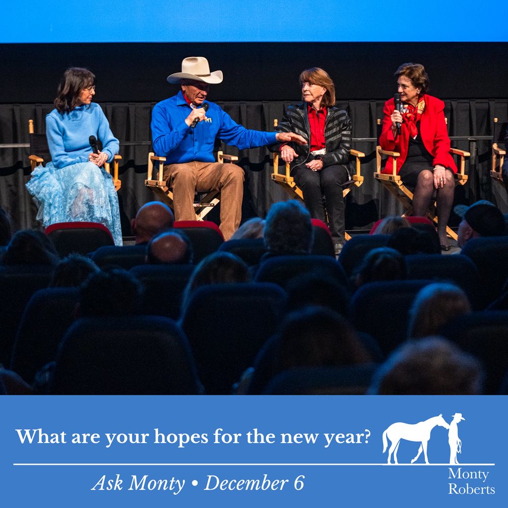Question: What are your hopes for the new year? Read Monty's answer in the Ask Monty Q&A: montyrobertsuniversity.com/q_and_a Have your own question for Monty? 👉 Send it to askmonty@montyroberts.com #MontyRoberts #AskMonty #StartingNotBreaking 📷 Lucas Boland