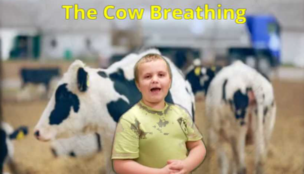 Ken Kortens tweet media