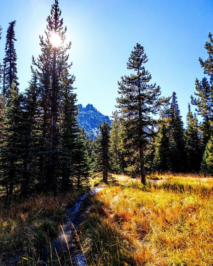 Beautiful Oregon tweet media