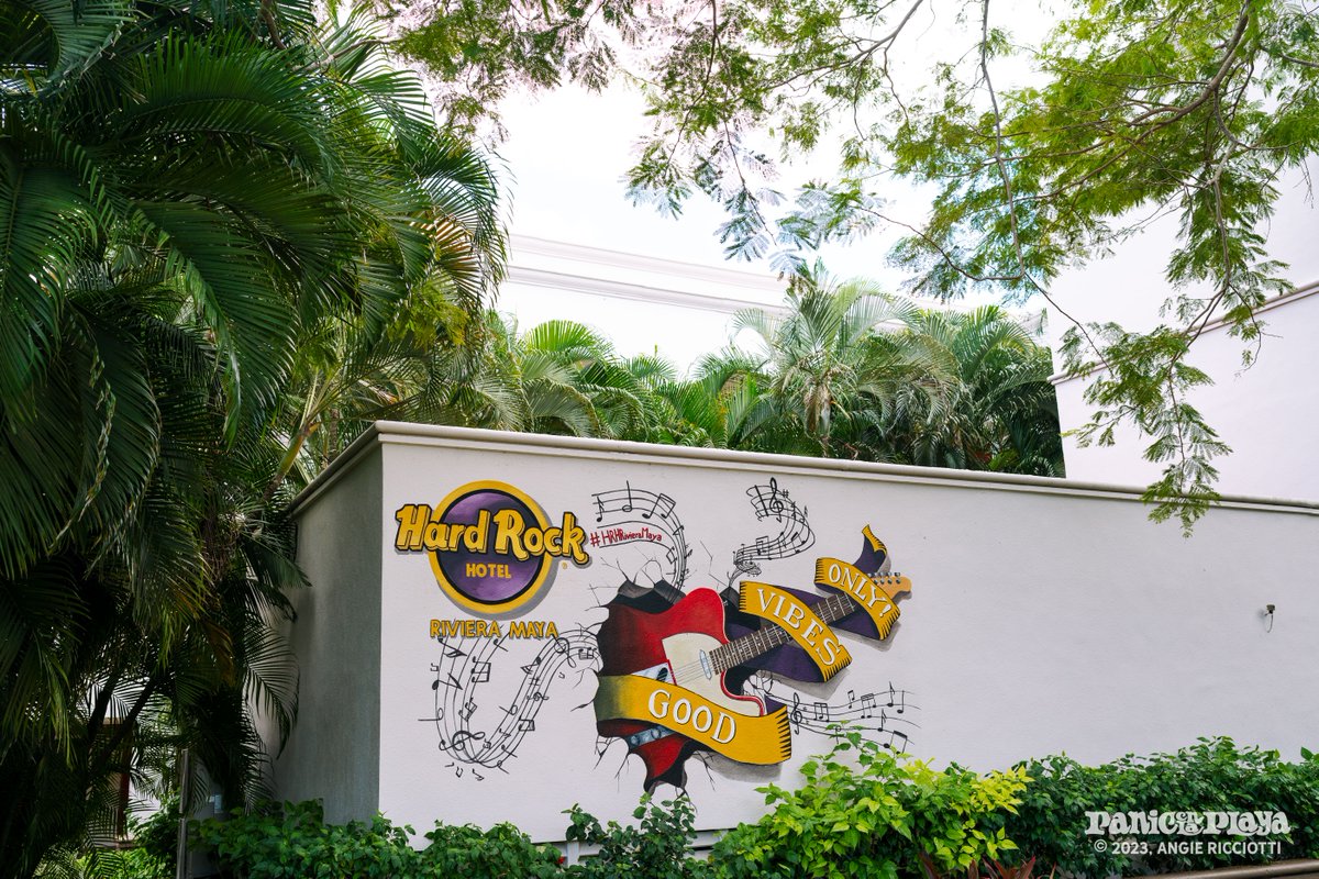 panicenlaplaya tweet media