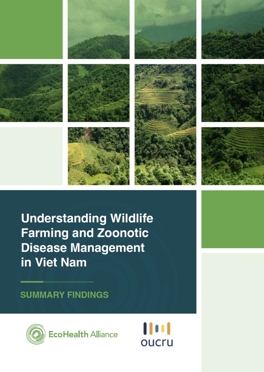 “Understanding Wildlife Farming and Zoonotic Disease Management in Viet Nam”, a new report led by EcoHealth Alliance and @OUCRU_Programme, is out now! The full report, available in both English and Vietnamese, is available here: ecohealthalliance.org/understanding-…