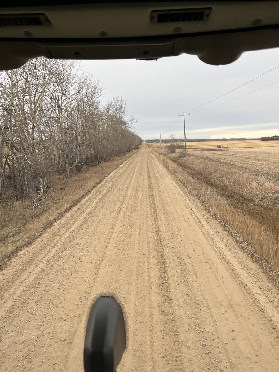 Craig Mills tweet media